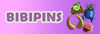 BIBIPINS - An Online Store Success Story