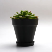 eSun 3D Printing ASA+ Filament - 1.75mm (1kg)