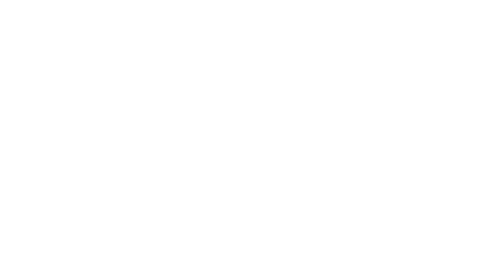 Formlabs SLS
