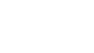 Formlabs SLS 3D Printing