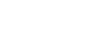 Raise3D