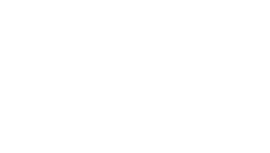 Raise3D