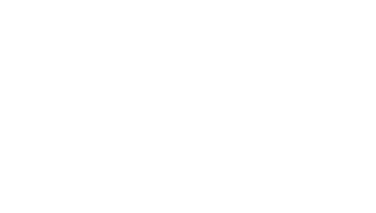 Wazer
