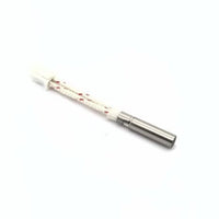 Raise3D Pro3 P Heating Rod