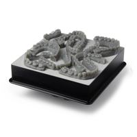Formlabs Draft V2 Resin Cartridge (1 Litre OEM)